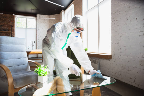 Reliable Norton, OH Mold Removal Services Solutions